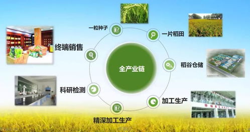 金友米业 会员项目助力打造国内领先生态农产品服务提供商，广汽车载信息系统赋能新生态